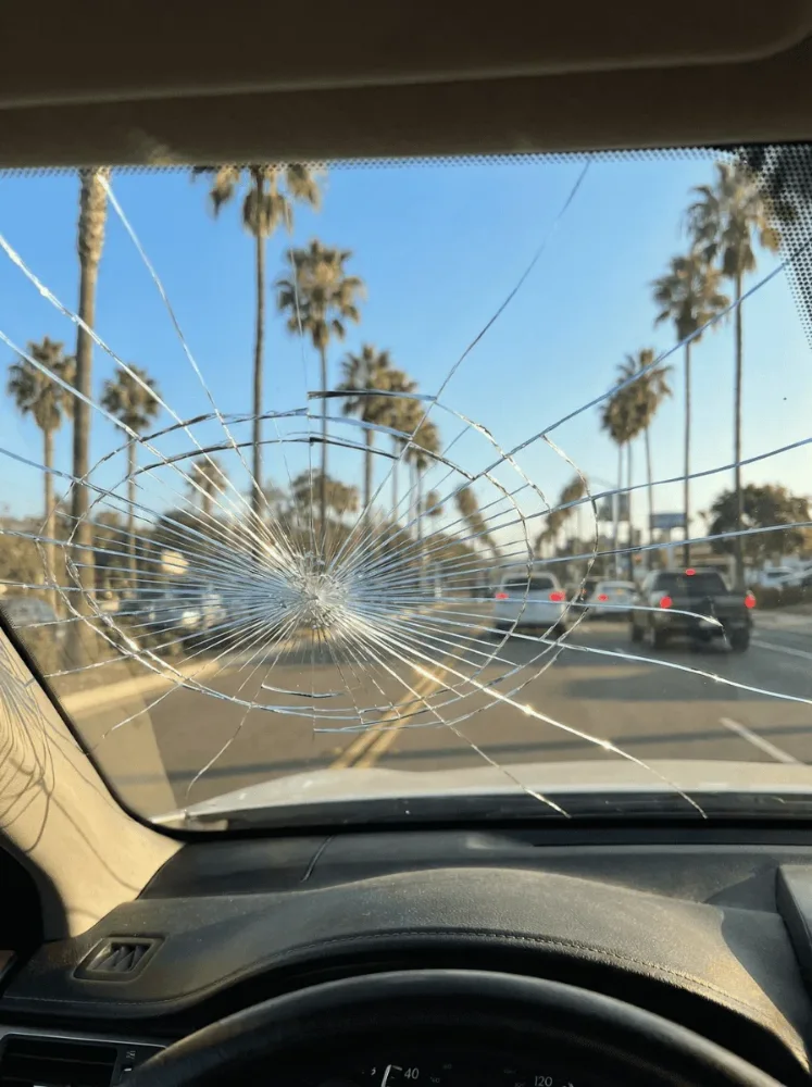 A long crack across a windshield seen from the driver's seat on a palm-lined street